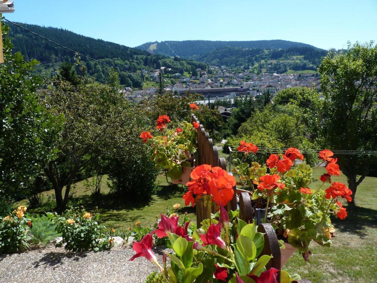 La Maison Bel'Air Gérardmer Extérieur photo